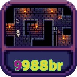 9988br