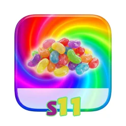 s11